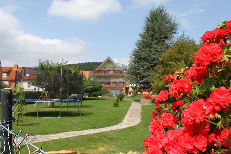 Bild 5